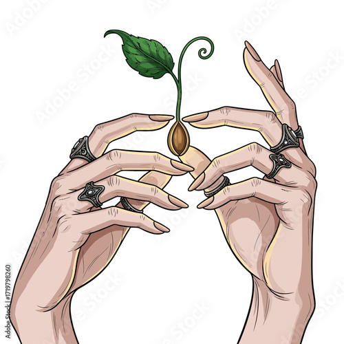 Mystical hands adorned with rings carefully nurturing a sprouting seed, symbolizing new life and wisdom