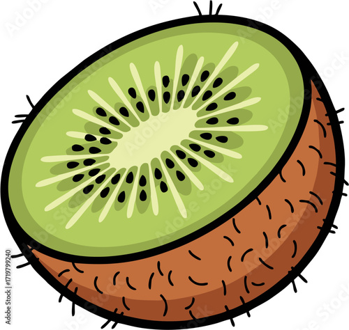 Kiwi Vector Illustration