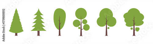 Phases plant growing. Vector illustration	