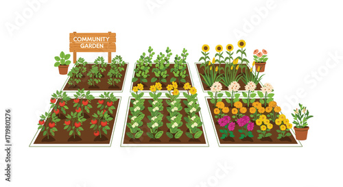 Vibrant Community Garden with Diverse Crops: Tomatoes, Sunflowers, Potatoes, and Assorted Flowers in Raised Beds, Conveying Sustainability and Community Engagement