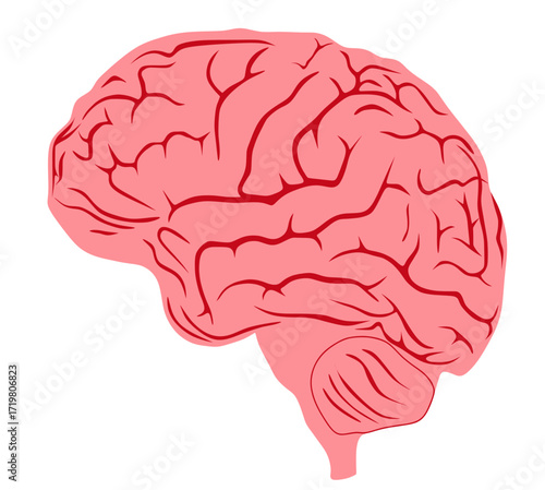 Yellow warning triangle with a black lightning bolt symbol indicating danger of electric shock or high voltage