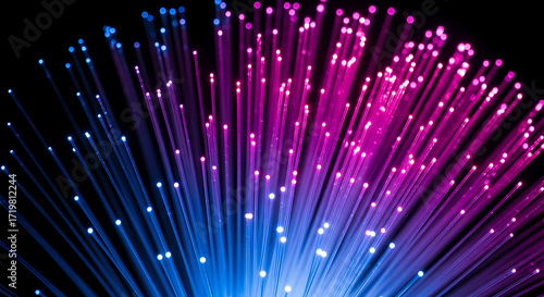 Fiber Optic Data Technology Blue Magenta Abstract Light