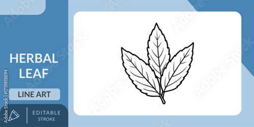 Herbal Leaf Icon. Vector Line Art for Natural Products.