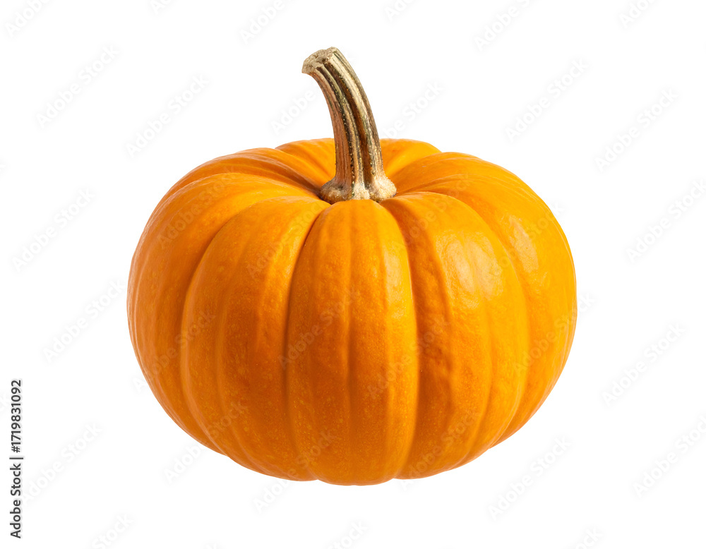 Fototapeta premium A vibrant orange pumpkin with a textured and a curved stem, perfect for autumn decorations and harvest themes.