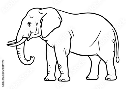 Elephant in profile in line art in black and white