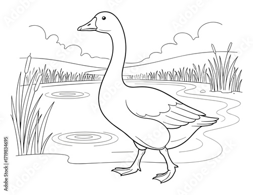 Goose by pond against rolling hills