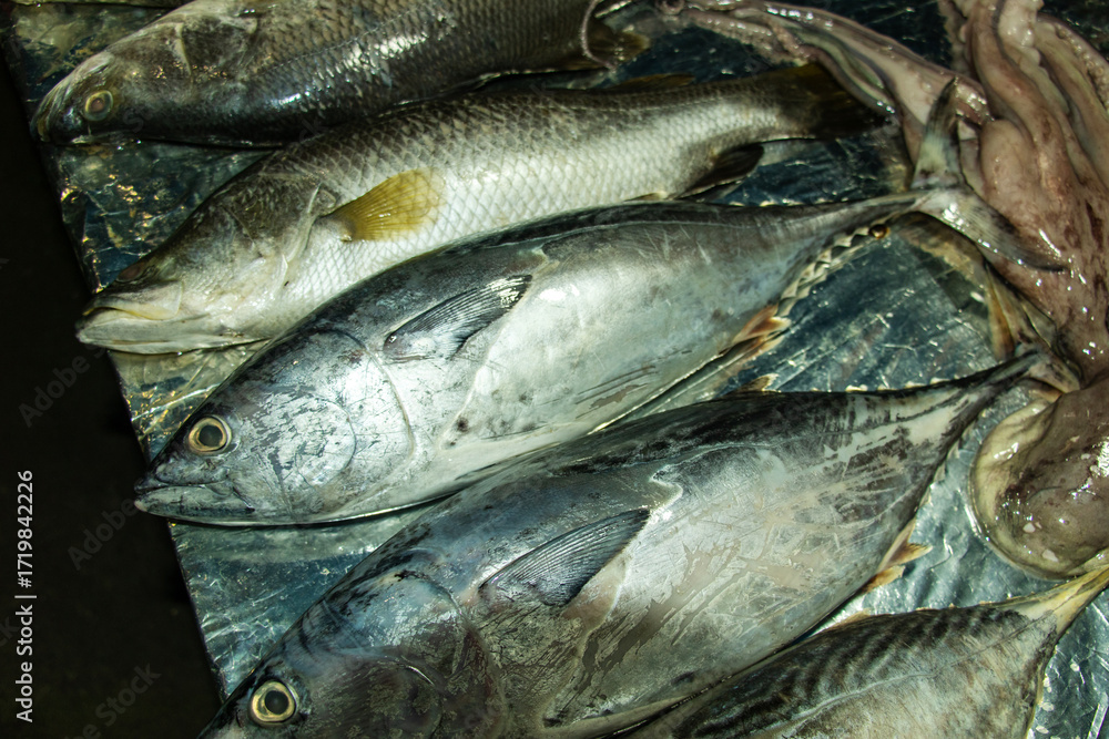 Obraz premium Fresh fish displayed on a metal surface, tuna at a seafood market
