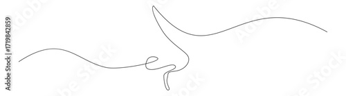 Continuous Line Drawing of a Nose