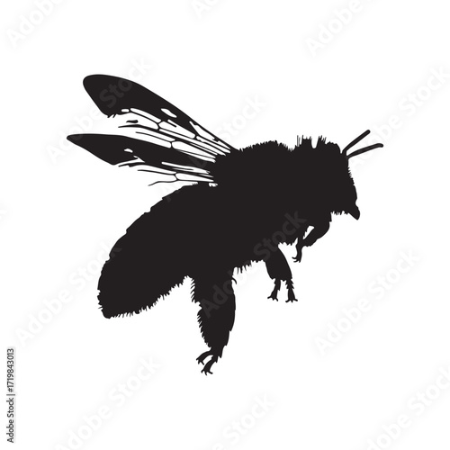 All