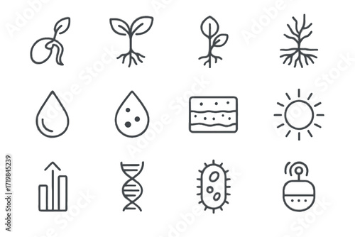 Leaf seed germinating soil nutrient vector strand seedling icons bio icon sprout