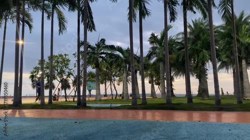 Tranquil Garden Scene with Palm Trees and Soft Sky Lighting at Twilight Time