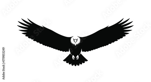 Majestic eagle in flight, wings spread wide against a clean white background, symbolizing freedom and power.