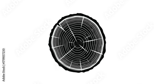 Close-up of a tree ring pattern on a white background, showcasing natural growth and texture.