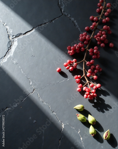 Modern still life with pink pepper and cardamom spices on a dark slate background