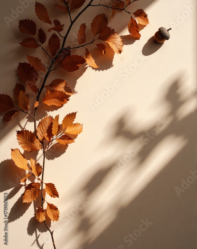 Minimalist autumn background with dry leaves and sunlit shadows