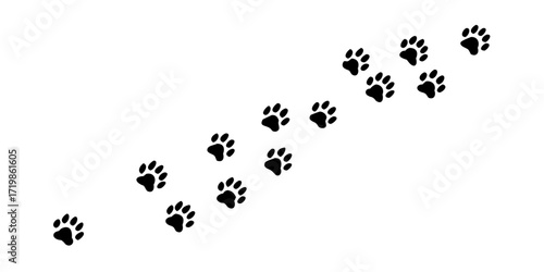Paw vector foot trail print of cat. Dog, puppy silhouette animal diagonal tracks for t-shirts, backgrounds, patterns, websites, showcases design, greeting cards, child prints and etc .Animal Footprint