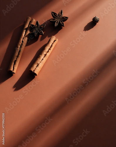 Warm autumn spices background with cinnamon and star anise in dramatic sunlight