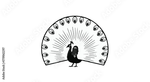 Elegant peacock displays its magnificent fanned tail feathers in a striking silhouette.