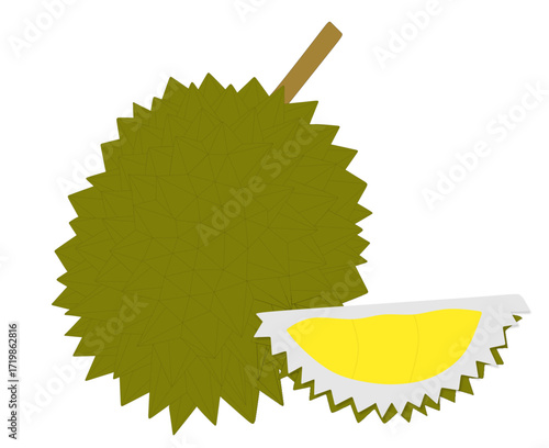 Durian Fruit Illustration A Vibrant Depiction of the King of Fruits