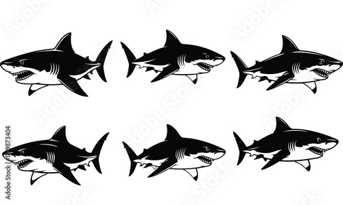 Six Sharks Swimming Together in Formation