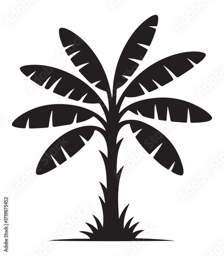 Stylized silhouette of a banana tree plant with broad leaves isolated on white background