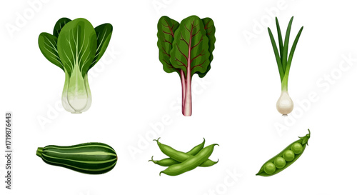 Bok choy chard spring onions peas zucchini.vegetables