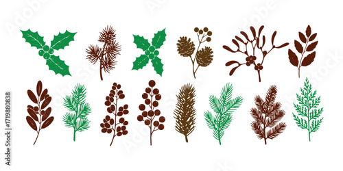Vector illustrations of Christmas plants, including holly berries, Christmas trees, pine branches, and leaves, serve as holiday decorations and winter symbols, all isolated against a white background.