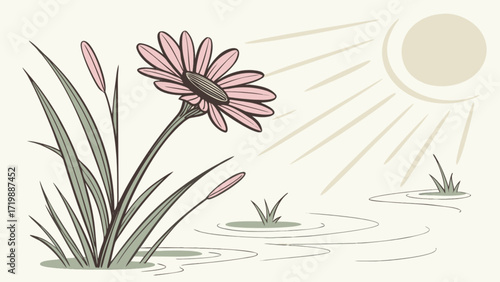 Illustration of pink daisy flower in pond with sunlight vector graphic drawing design art print