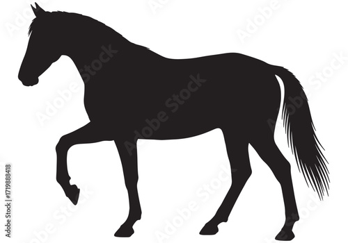 Graceful Horse Silhouette Lifting