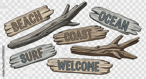A set of wooden signs with beach, ocean, coast, surf, and welcome written on them, along with driftwood pieces, evokes a coastal and welcoming atmosphere