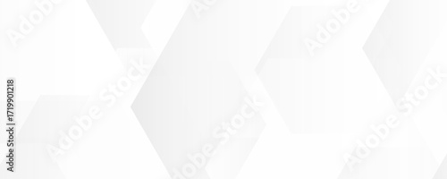 hexagon white geometric background with diamond and triangle shapes layered pattern design