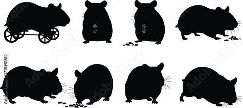 Hamster silhouette illustration, eating pose, standing posture, animal behavior, pet activity, black figure, food interaction, cute rodent, vector design