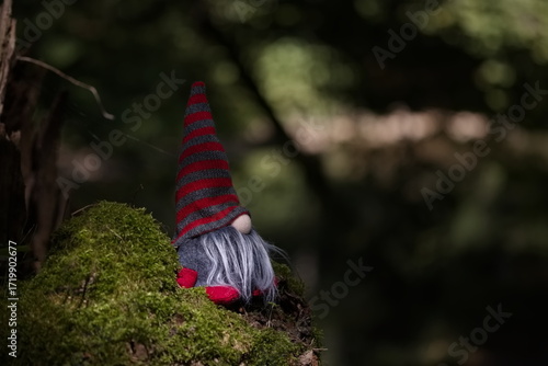 Kleiner Wichtel sitzt auf weichem Moos