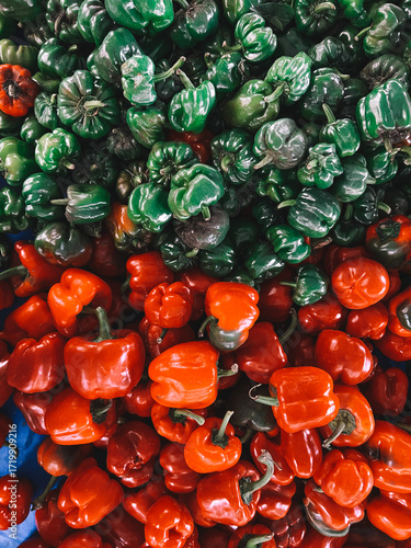 Mix of red and green chili peppers at street food market