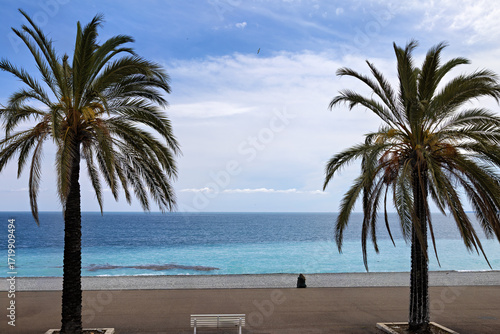 Promenade with palm trees and view of the Mediterranean Sea in downtown Nice, Cote d'Azur, French Riviera