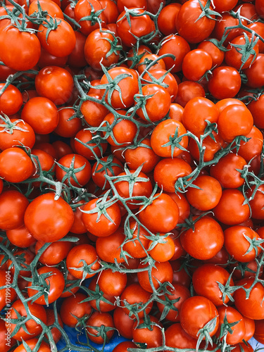 Fresh vine tomatoes displayed at outdoor farmer market