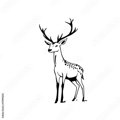 Fallow deer. Fallow deer simple black and white line art vector logo