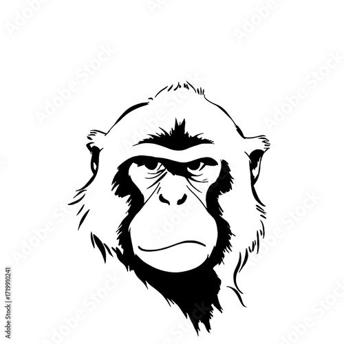 Macaque. Macaque simple black and white line art vector logo