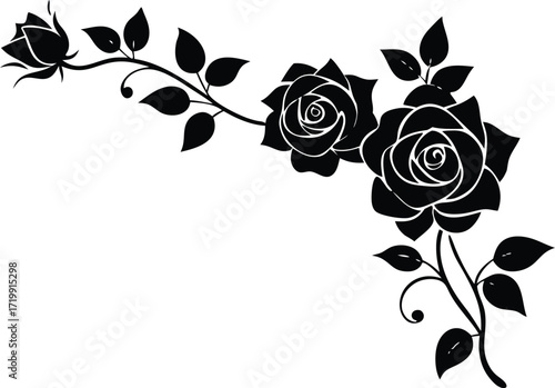 floral corner element featuring roses silhouette vector illustration