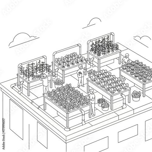 Urban Rooftop Garden Sustainable Agriculture in the City, Cultivating Crops and Vegetables for a Greener Environment