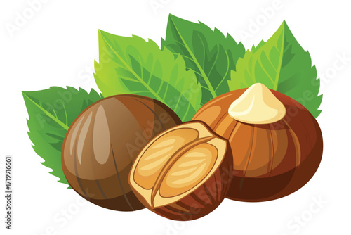 Whole and halved hazelnuts with green leaves on white background