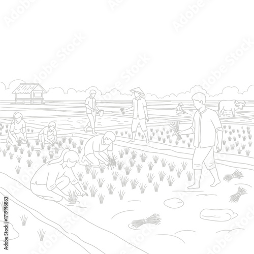 Farmers working together in a rice paddy, planting seedlings, and tending the crops.