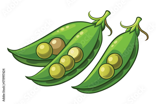 Two green pea pods with peas on a white background