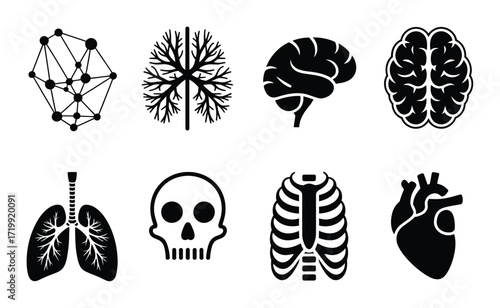 Collection of Black and White Icons Representing Human Anatomy and Biology