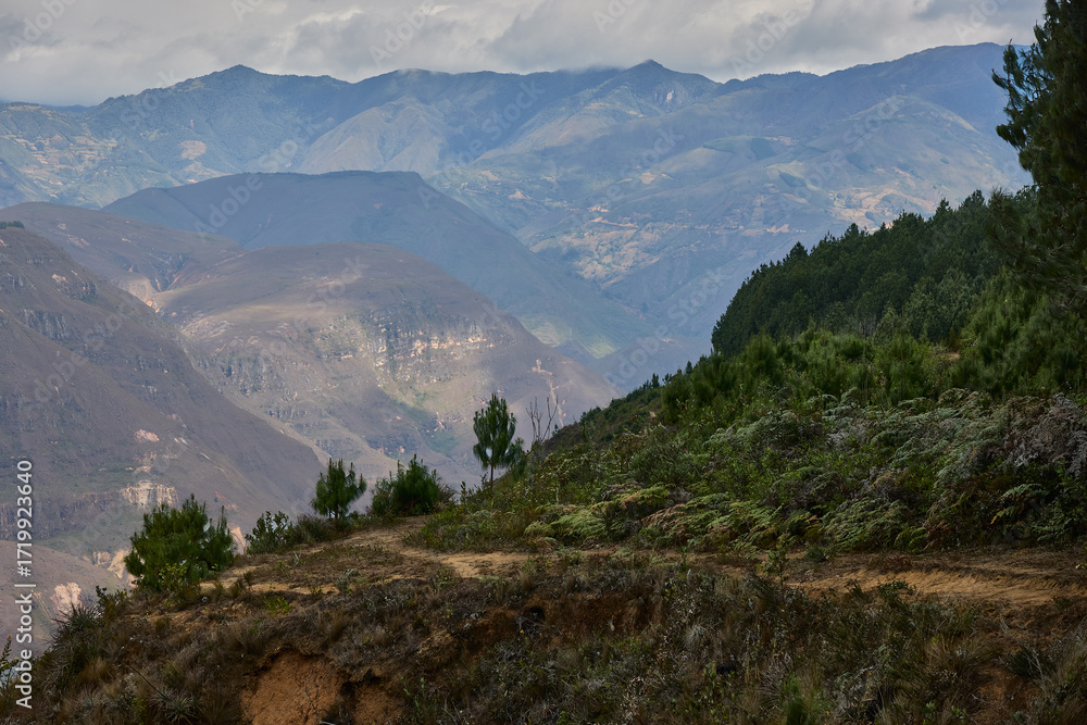 Obraz premium From the Mirador de Huancas, the Sonche Canyon reveals its breathtaking depth and immensity. Sheer cliffs plunge into the valley below, while the vast Andean landscape stretches beyond