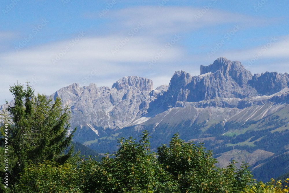 Fototapeta premium Rosengarten