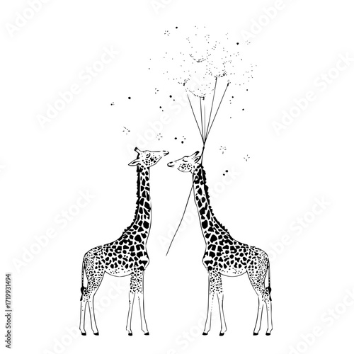 Giraffe illustration black and white drawing animal art wildlife safari mammal nature design african giraffes love