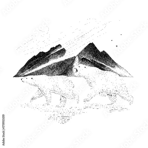 Polar bears arctic wildlife animal mountain landscape nature illustration monochrome black and white drawing art