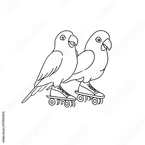 Parrot roller skating birds line art vector illustration animal avian pet exotic tropical drawing skating parrots