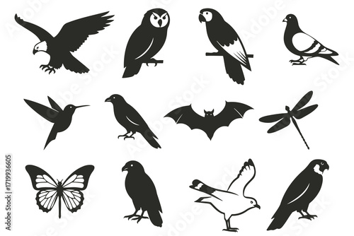 bird silhouette, parrot silhouette, eagle silhouette, sparrow silhouette, hummingbird silhouette, raven silhouette, falcon silhouette, dragonfly silhouette, butterfly silhouette, owl silhouette